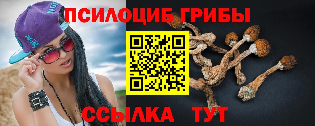 Псилоцибиновые грибы мицелий  Галлюциногенные грибы Magic Shrooms  Черемхово  Вход с VPN 