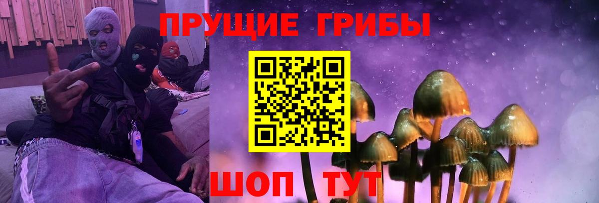 Галлюциногенные грибы мицелий Черемхово